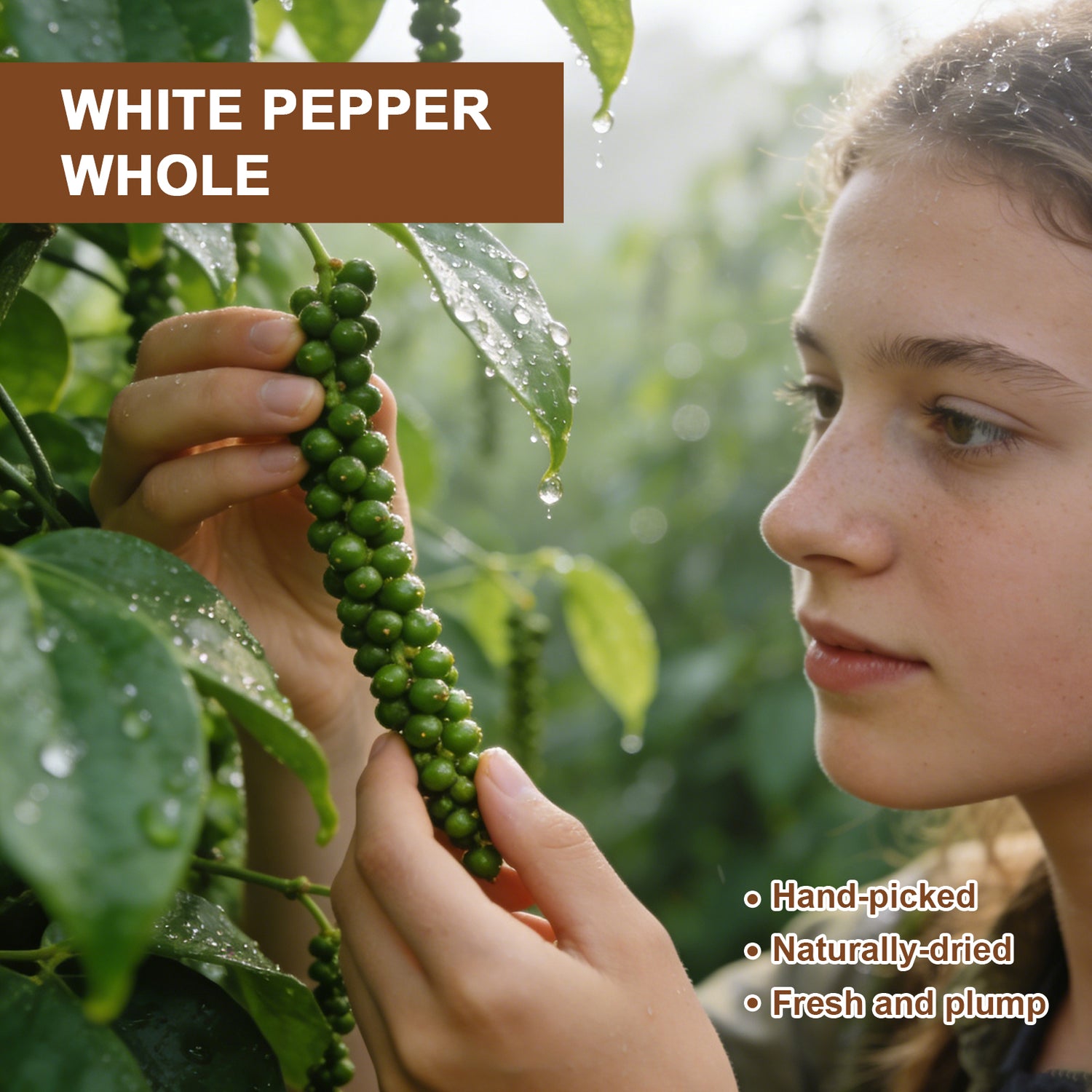 GoldenAnise Premium White Peppercorns Whole, Available in 8 oz, 18 oz,32 oz  (Eco-Refill Bag), All Natural Whole White Pepper for Grinder Refill, Non-GMO & Kosher Certified, Sharp & Earthy Flavor for Cream Sauces, Soups and Stir-fries